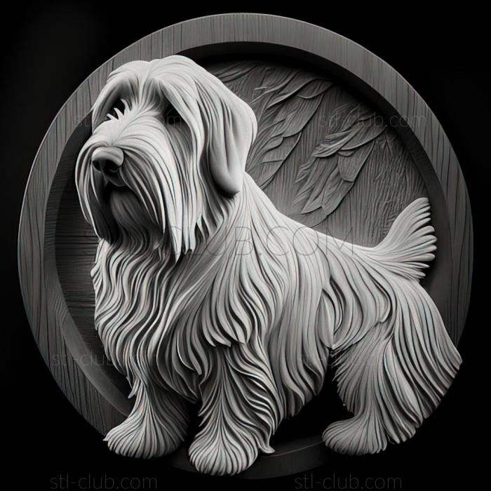 st The Great Vendean Basset Griffon dog